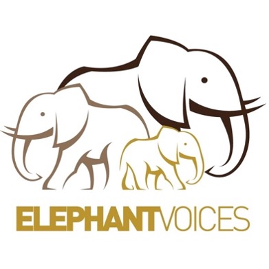 ElephantVoices logo