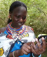 Agness Kilena, guide at Basecamp Maasai Mara, checking out the Mara EleApp. (©ElephantVoices)